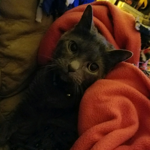 Meet your Posher, Jill - Picture 1 of 1